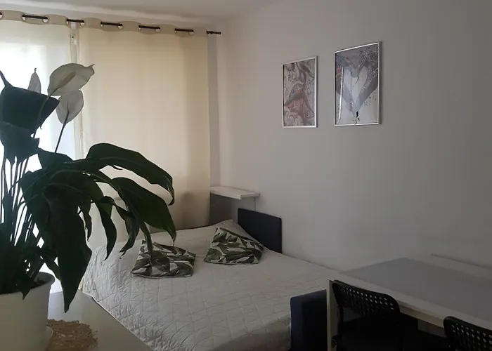 Krynicka Вроцлав